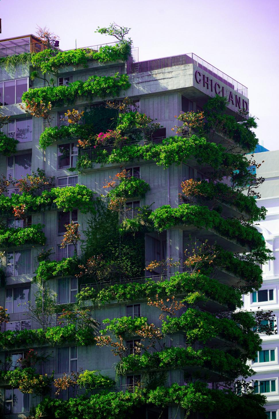 Sustainable consulting